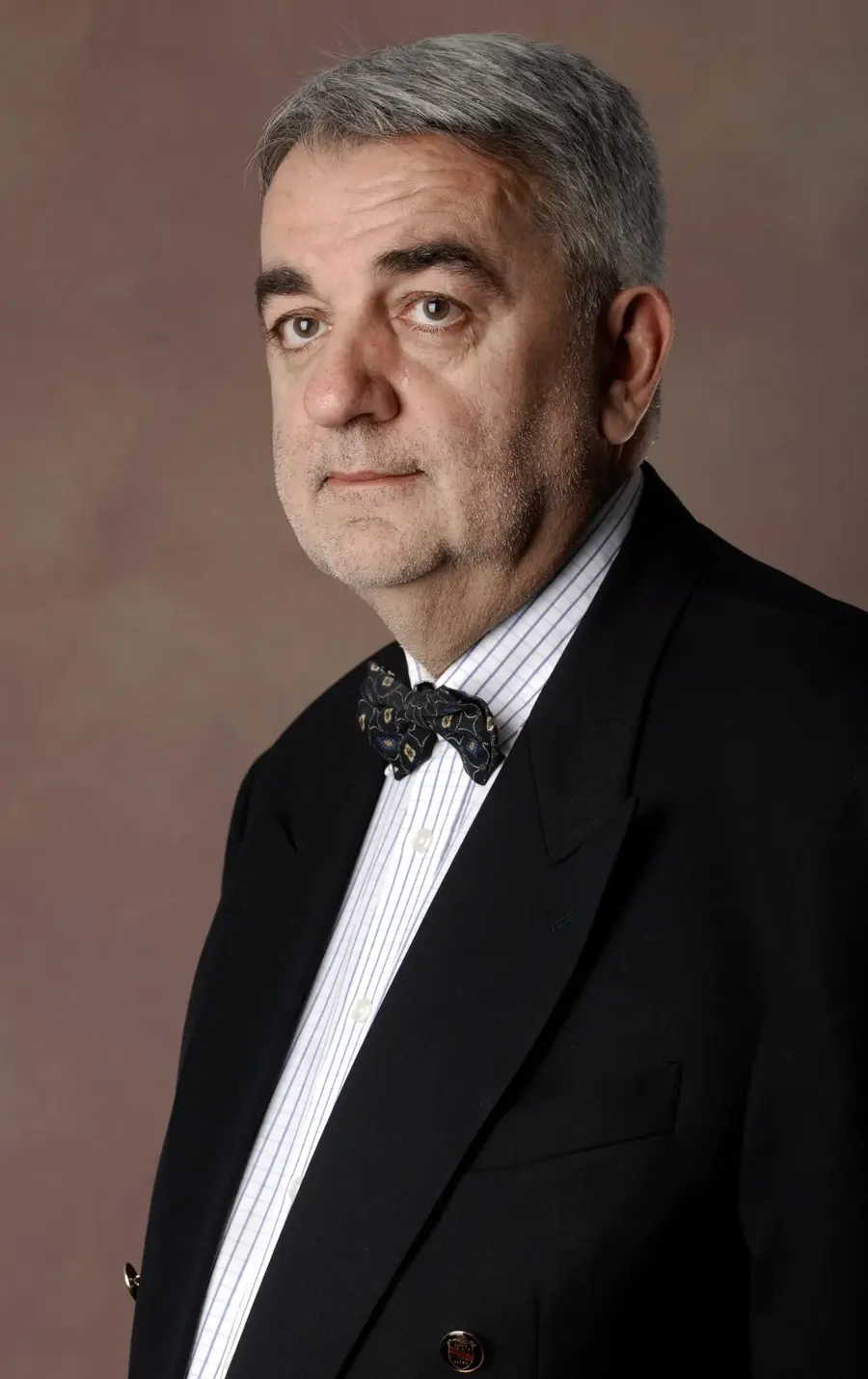 Ivan Zvonimir Čičak